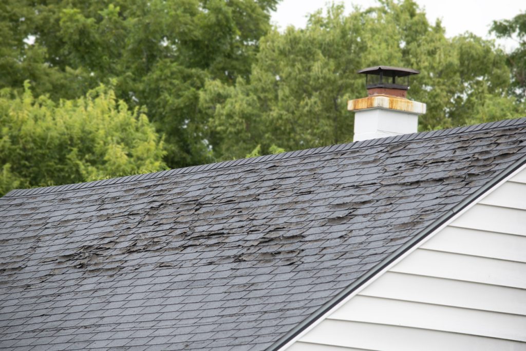 Damaged and old roofing shingles